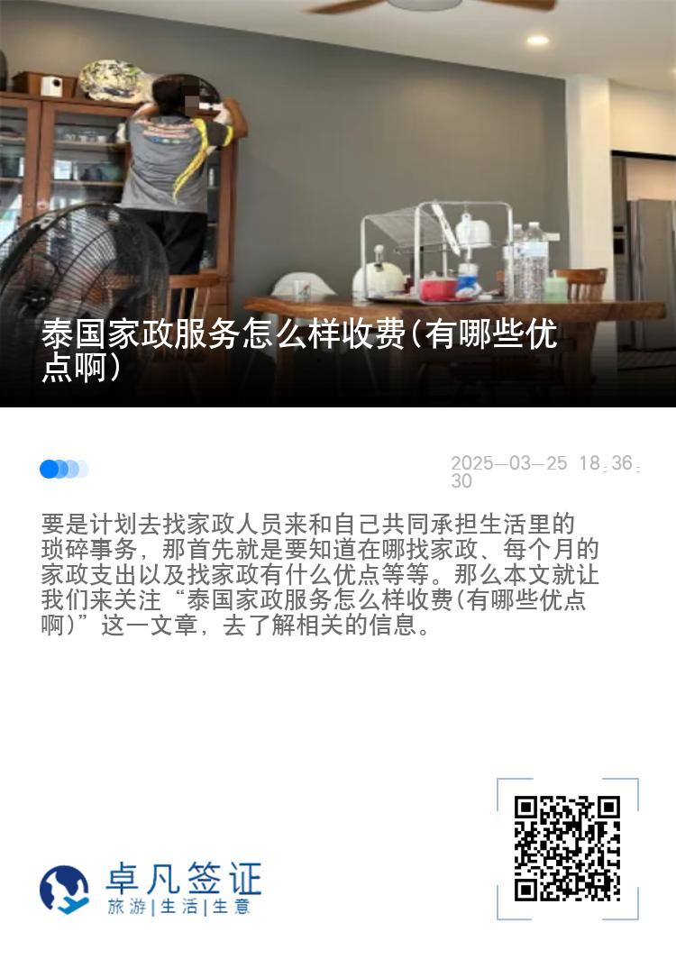 泰国家政服务怎么样收费(有哪些优点啊)